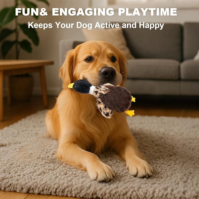 Duck Dog Squeaky Toy for Aggressive Chewers - No Stuffing Durable Plush with 4 Squeakers & Crinkle Wings, Chew Proof Puppy Toys for Small Medium Large Dogs (Black & Brown)