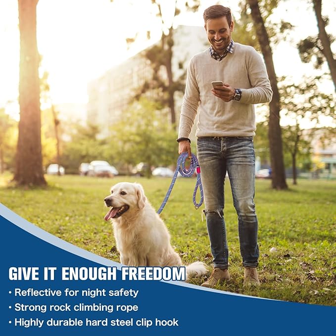 Nylon Rope Dog Leash Reflective, Handmade Braided Strong Dog Lead, Heavy Duty Rope Leash for Medium Large Dogs (5 FT - 3/5" Purple)