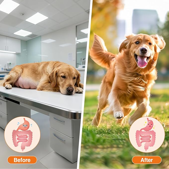 Premium Probiotics for Dogs with Digestive Enzymes & Fiber | Duck Flavor Soft Chews for Itchy Skin, Ear Health, Gut & Immune Support (Duck)