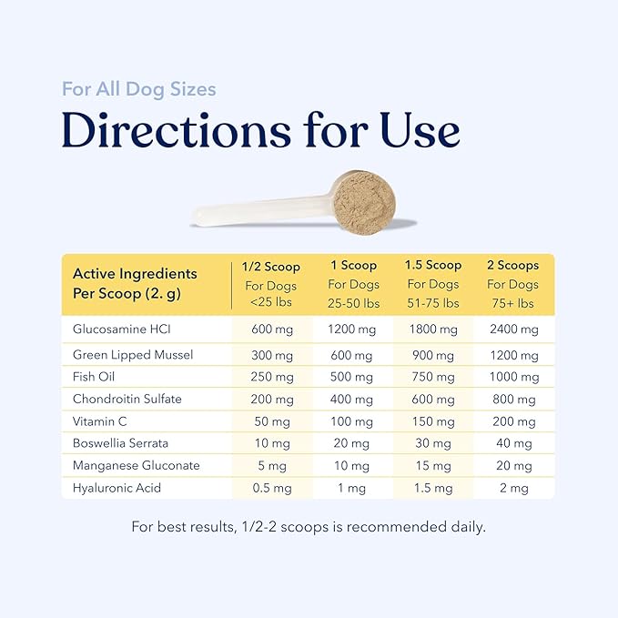 Honest Paws Glucosamine for Dogs – Joint & Mobility Supplement Powder with Green Lipped Mussel, Fish Oil & MSM – Supports Hip & Joint Health, Support Stiffness, Dog Supplies