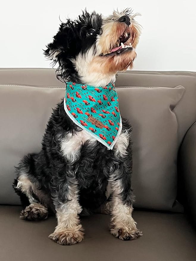 Lionet Paws Thanksgiving Dog Bandana Washable Cotton Handkerchief Scarf Triangle Bandana for Small Medium Large Dogs Girl Boy