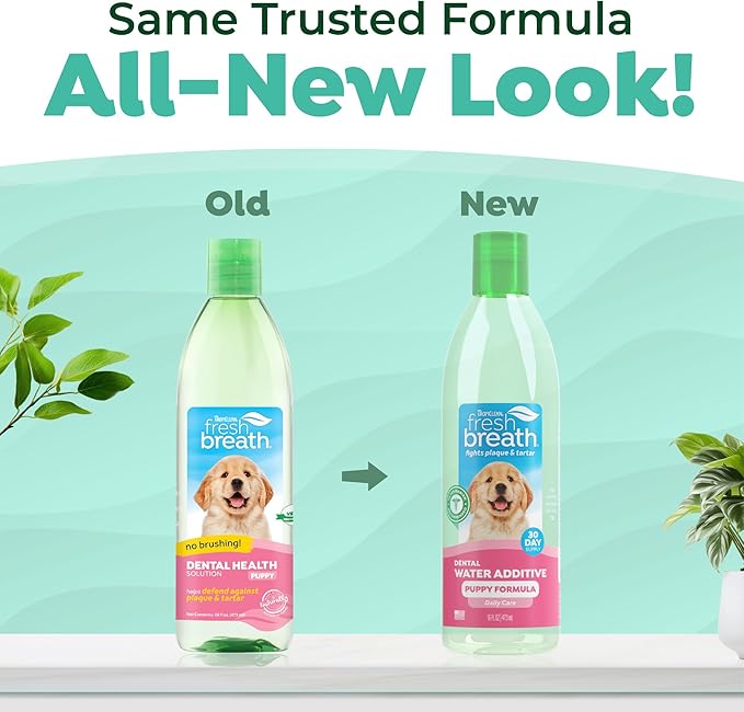 TropiClean Fresh Breath Water Additive for Puppies, Teeth Cleaning and Breath Freshener Solution, No Toothpaste or Toothbrush Required, 16oz.