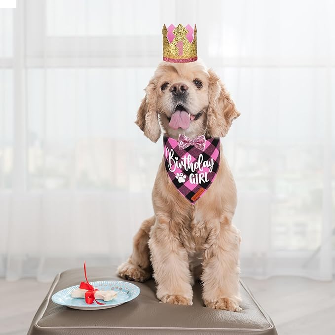 ADOGGYGO Dog Birthday Party Supplies, Pink Plaid Birthday Girl Dog Bandana, Golden Puppy Party Hat with Numbers, Bowtie for Small Puppies (Small)