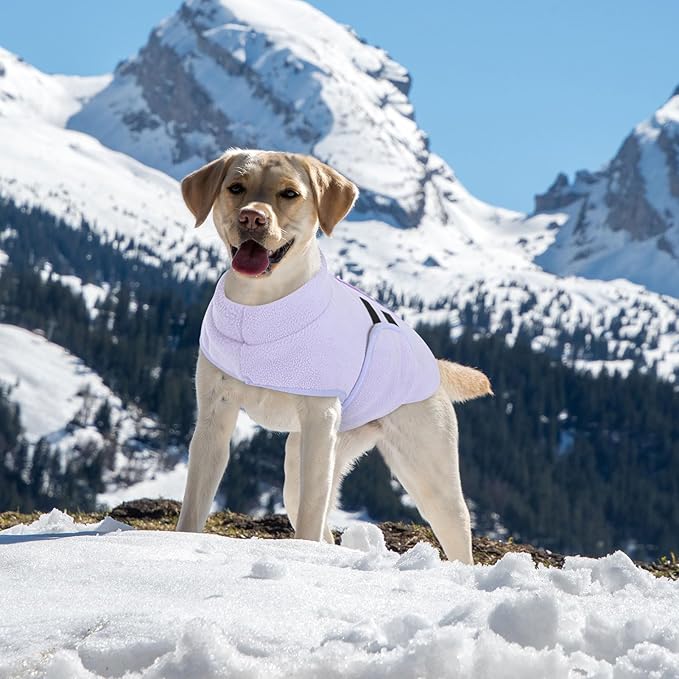 Queenmore XXS Dog Sweater, Soft Fleece Vest Pullover Dog Jacket with Leash Hole, Warm Winter Dogs Clothes Cold Weather Doggy Dachshund Sweaters for Small Dogs Cats Boy or Girl (Lilac, XXS)