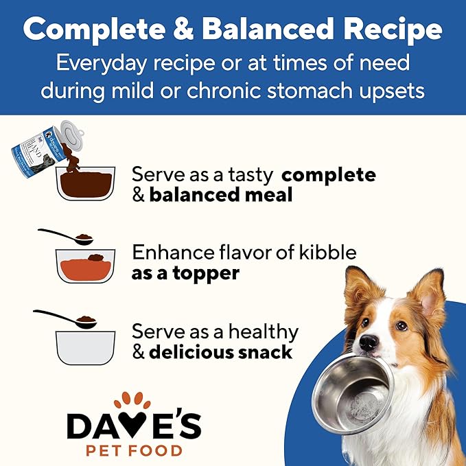 Dave's Pet Food Bland Diet Dog Food (Chicken & Rice), Sensitive Stomach, Easy to Digest, Gluten-Free, Digestive Care, Wet Canned, 13.2 oz (Case of 12)