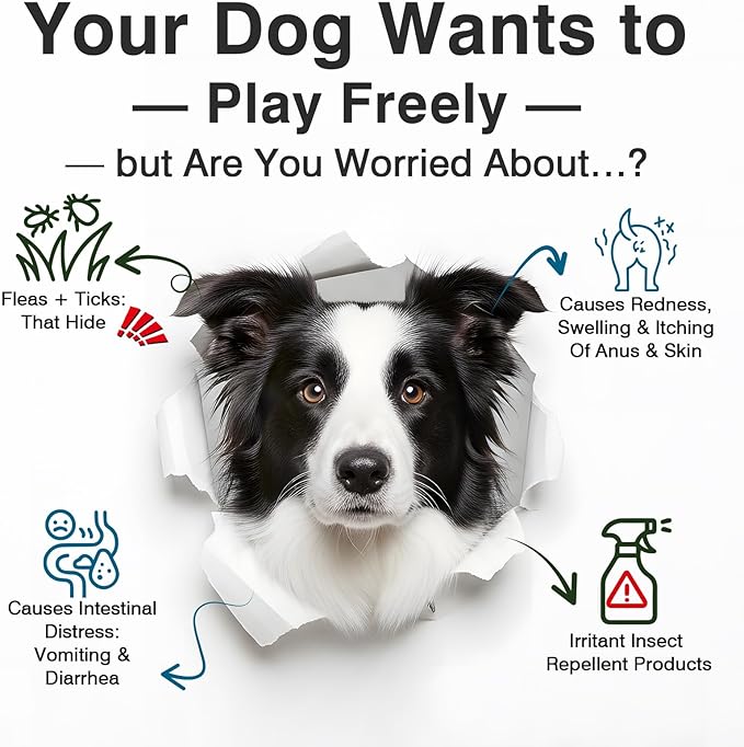 Dog Flea and Tick Treatment Chewable Probiotics Chewables for Dogs Probiotic Digestive Gut Health Natural Flea and Tick Prevention Chews Pet Probiotics for Dogs Chewable Chews Puppy Probiotic 2 in 1