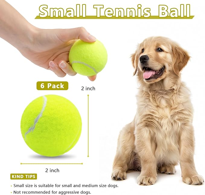 Magicorange 6 Pack Small Tennis Balls, 2 inch Squeaky Tennis Ball for Dogs,Colorful Easy Catching Squeaky Dog Balls with Mesh Bag for Easy Transport (Multicolor)