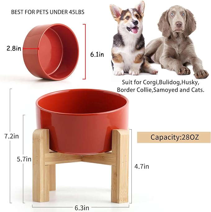 Petygooing Elevated/Raised 15°Slanted Ceramic Dog Bowl for Small and Medium Breeds, Tilted Anti Slip Pet Feeding Bowl,Food Water Dish with Stand for Cats and Dogs (28 OZ/3.6 Cups) Rust Red