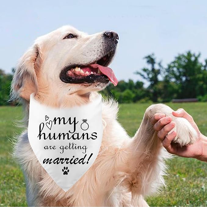 Engagement Gift, My Humans are Getting Married Dog Bandana, Wedding Photo Prop, Pet Scarf, Dog Engagement Announcement, Pet Accessories, Bridal Shower Gift (Black)
