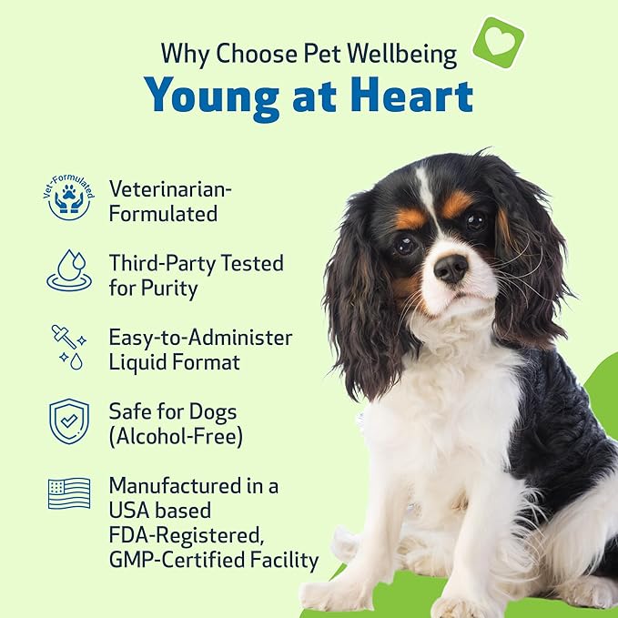 Pet Wellbeing Young at Heart for Dogs - Senior Heart Health Support, Cardiovascular Wellness & Vitality - NASC Certified & Vet-Formulated - 2 oz Liquid Formula