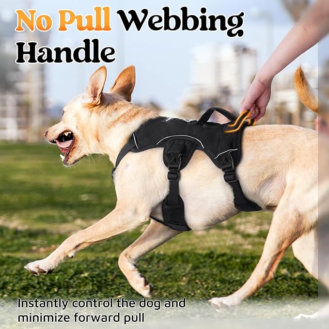 rabbitgoo Escape Proof Dog Harness with Large Handle