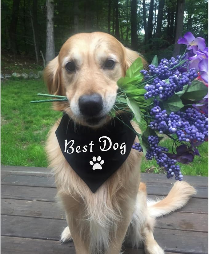 Best Dog Dog Wedding Bandana Collar, Adjustable Engagement Pet Bandana with Quick Release Buckle & D-Ring for Dogs & Cats