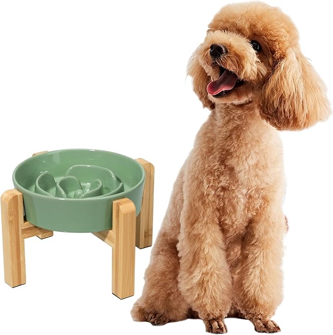 Elevated Slow Feeder Dog Bowl - Ceramic Maze Food Dish with Bamboo Stand - Raised Feeding Bowl for Fast Eaters - Ideal for Small and Medium Dogs - Green - 6.7 inch