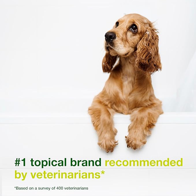 Douxo S3 SEB Shampoo, Contains 0.5% Ophytrium, Odor Control & Seboregulating, for Oily to Flaky Skin, Seborrhea, for Dogs and Cats, 6.7 fl. oz. (200mL)