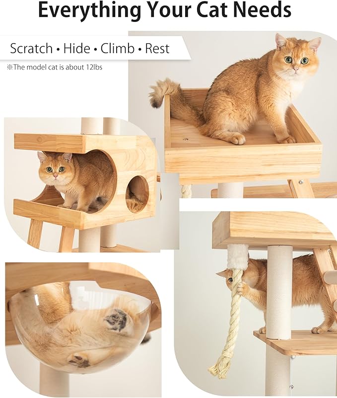 Wood Cat Tree for Large Cats, 62-Inch Tall Modern Cat Tower with Condo & Scratching Posts - Easy to Clean, Heavy-Duty, Furniture-Grade Design for Stable Climbing, Eco-Friendly (White 62'')