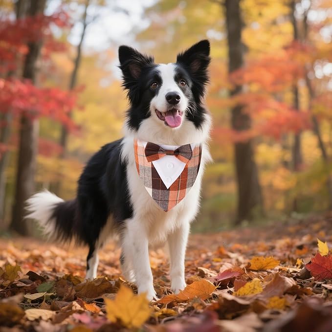 ADOGGYGO Fall Dog Tuxedo Bandana, Orange Plaid Pet Fall Collar with Bowtie, Adjustable Halloween Thanksgiving Costume for Large Dogs (L)
