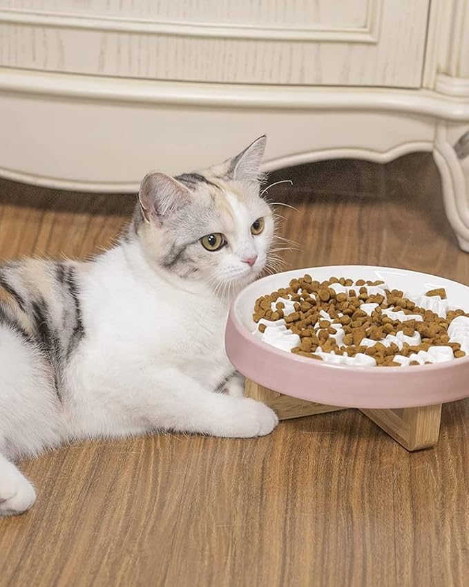 Raised Cat and Dog Slow Feeder Bowl With Stand, Ceramic Elevated Bowls for Healthy Eating Diet, Pet Puzzle Feeder, 3'' High, 8.5'' Wide