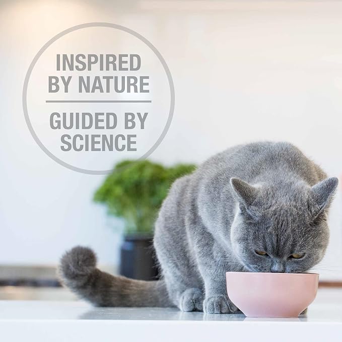 Feline Natural High Protein Dry Cat Food, Freeze-Dried Diet with 98% Meat, Organs & Seafood, No Peas, Grains, or Artificial Additives, Made in New Zealand, Lamb, 11oz