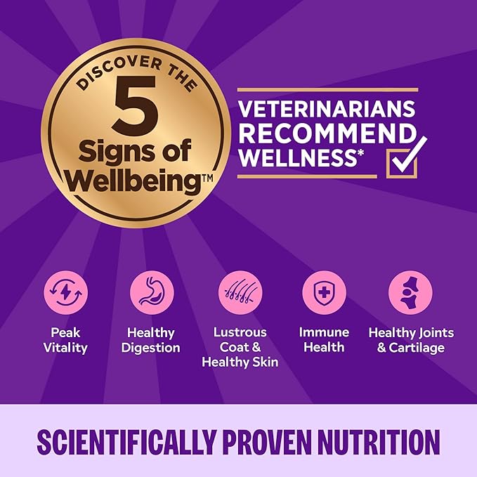 Wellness Complete Health Pate Adult Wet Cat Food, Natural, Protein-Rich, Grain Free, 12.5 Ounce, 12 Pack, (Chicken)