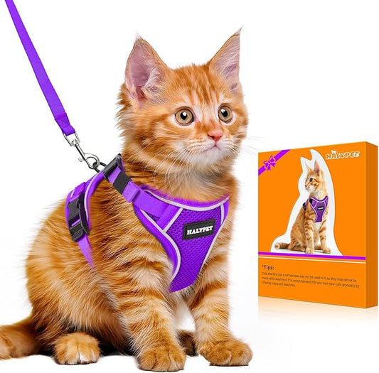 Halypet Cat Harness and Leash Set [MAX Safety 4th-Gen Upgrade] Escape Proof Adjustable Cat Leash Comfortable Soft Vest Easy to Wear Kitten Harness with Reflective Strip for Cats Walking, M Purple