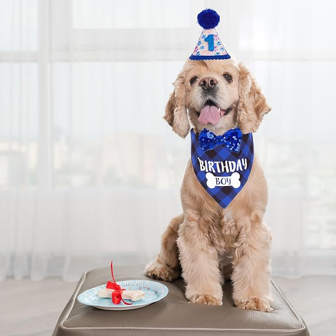 ADOGGYGO Boy Dog Birthday Bandana & Bow Set - Plaid with Numbers, Bling Bling Accents for Small Pets