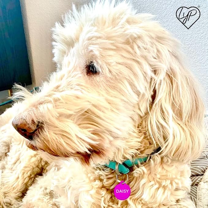 Love Your Pets Classic Aluminum Pet ID Tags - 2 Sided Deep Engraved, Made in USA - Personalized Dog, Cat & Pet Tags