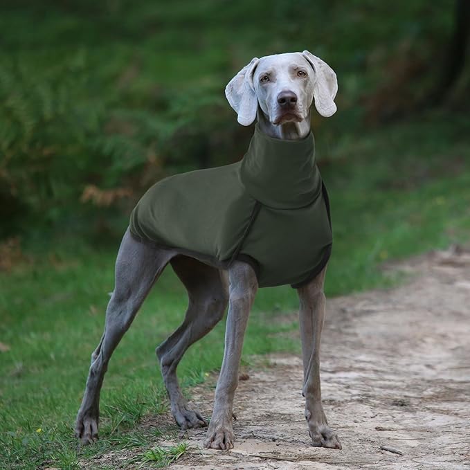 ROZKITCH Dog Winter Coat Soft Pullover Pajamas, Pet Windproof Warm Cold Weather Jacket Vest Cozy Jumpsuit Apparel Outfit Clothes for Walking Hiking Travel Sleep Green M