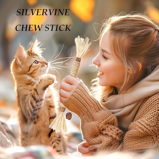 Cat Toys,6PCS Kitten Toys for Indoor Cats Catnip Toy for Chewing Silvervine Stick for Cleaning Teeth Kitty Dental Treat Interactive Toy Kitty Snack Self Play Wand Cat Mint Lick