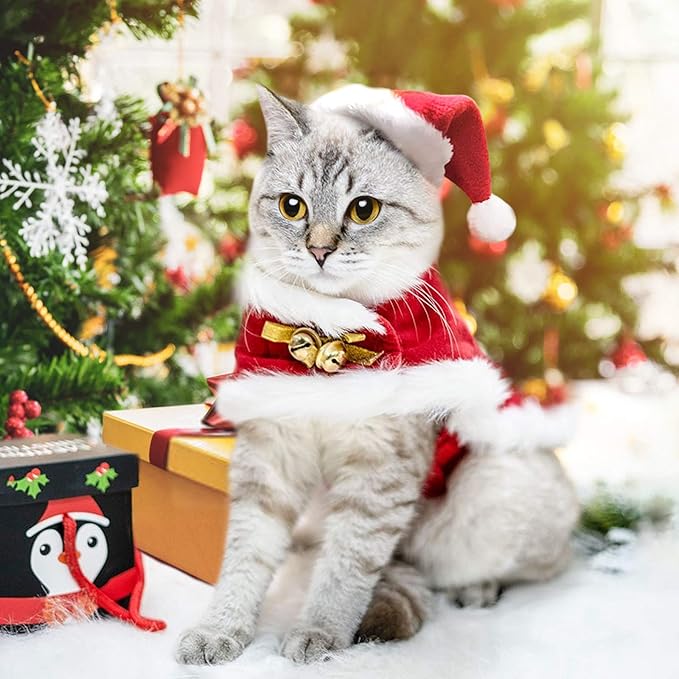 Cat Christmas Hat with Cloak, Small Dog Santa Costume, Pet Christmas Costume Suit for Cats Puppy Rabbits Doll, Santa Claus Set, Red S