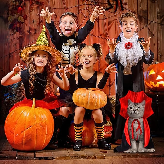 Halloween Pet Cape Custom, Gothic Cat Dogs Robe Decor, Vampire Cloak Wizard Outfit Pets Clothes Accessories for Witch Cosplay Apparel for Small Medium Dogs Cats Supplies(Red)