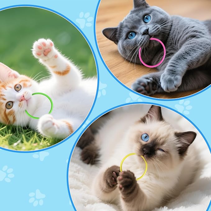 Cat Toys 24 PCS, Rubber Cat Chew Toy, Interactive Cat Toys to Kill Time, Colorful Bracelets Bands for Cat (Jelly Bracelets)