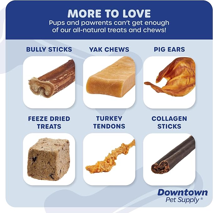 Downtown Pet Supply Bully Sticks - 12" JUNIOR - 12 Pack -SOUTH AMERICA & TURKEY