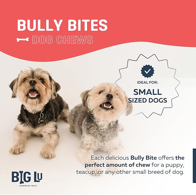 Big Lu - 2-4” Bully and Braided Sticks, 1 lb Bag, 100% Grass-Fed Beef Chews, Fully Digestible Treats for Puppies and Small to Medium Dogs, Natural Single-Ingredient Chews for Keeping Dogs Busy