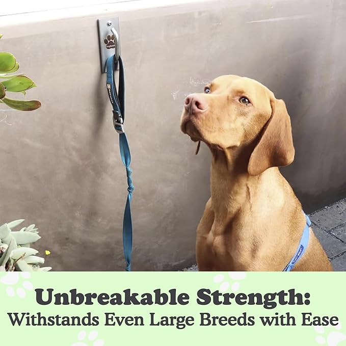 Canine Hitch Secure Dog Leash Parking Bundle – Standard & Standard with Clip, Indoor & Outdoor Wall Hook,Stainless Steel Tie-Out for Home & Business (Pack of 2)