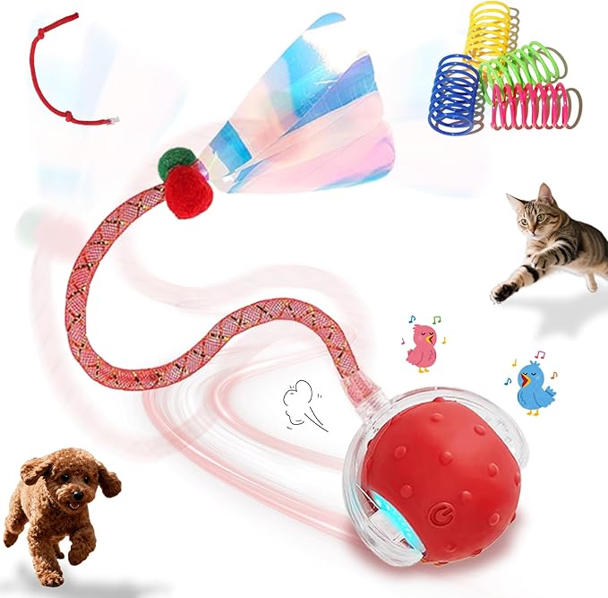 Interactive Cat Toys Ball for Indoor Cats＆Dog,Automatic Cat Toy with Elastic Mesh Tail,Rechargeable Rolling Kitten Toy,Include 4 Cat Spiral Spring,Cat Enrichment Toys for Indoor Cats(Red)
