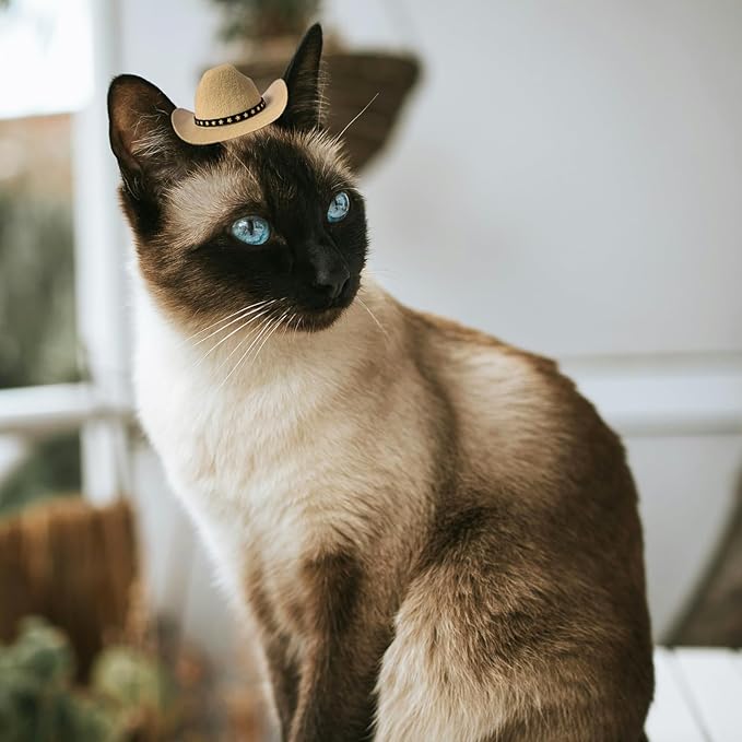 Dog Cowboy Hat Cat Cowboy Hat Pet Cowboy Costume Mini Cowboy Hat for Dogs Cat Holiday Halloween Pet Party Decoration (Khaki, Small)