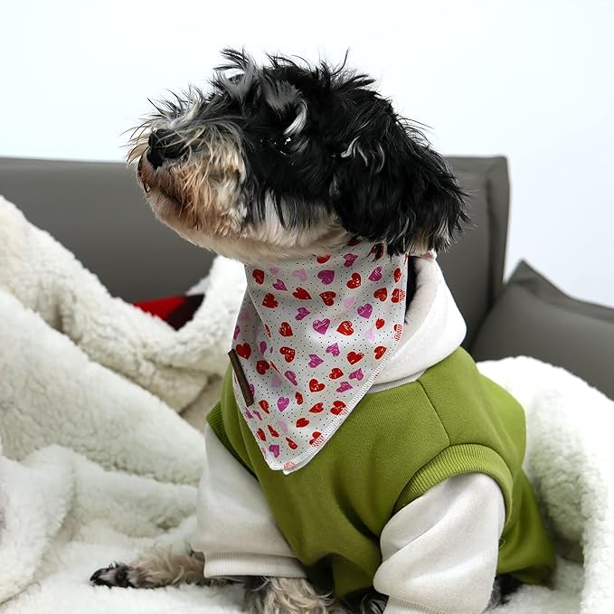 lionet paws Valentines Dog Bandana for Small Medium Large Dogs, Cat Dog Kerchief Triangle Bibs Scarf for Girl Boy