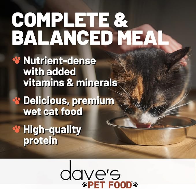 Dave's Pet Food Grain Free Wet Cat Food (Shredded Chicken & Duck in Gravy), Naturally Healthy Canned, Added Vitamins & Minerals, Wheat, Gluten, & GMO-Free, 2.8 oz (24 Pack)