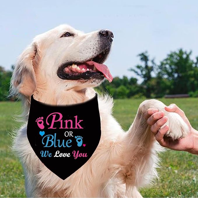 Pink or Blue? We Love You Gender Reveal Dog Bandana, Pregnancy Announcement, Pets Prop Party Supplies, Dog Accessories