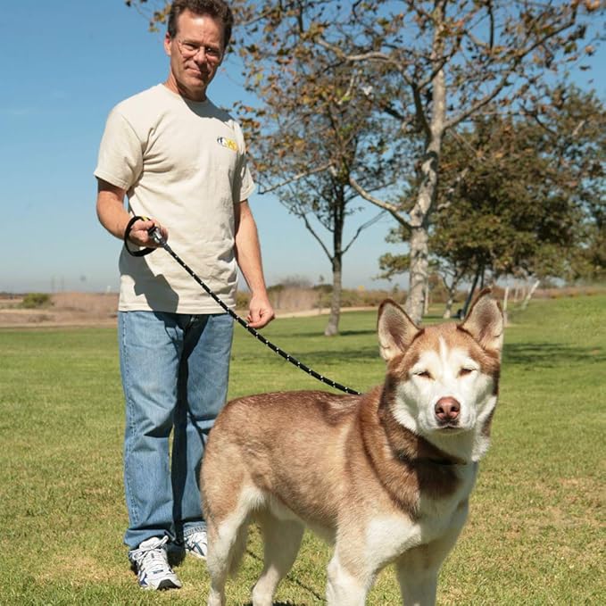 Chew Proof Dog Leash, 5' Heavy Duty with Padded Handle and Reflective Black/Silver Weave Poly Sheath - Alpine Outfitters Hand-Made in The USA!