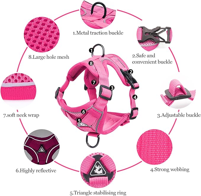Wanheart Summer cat Chest Harness and Leash, Anti-Escape Adjustable Soft mesh cat Leash and Chest Harness Set for All Types of Cats cat Vests (Rose red, M)