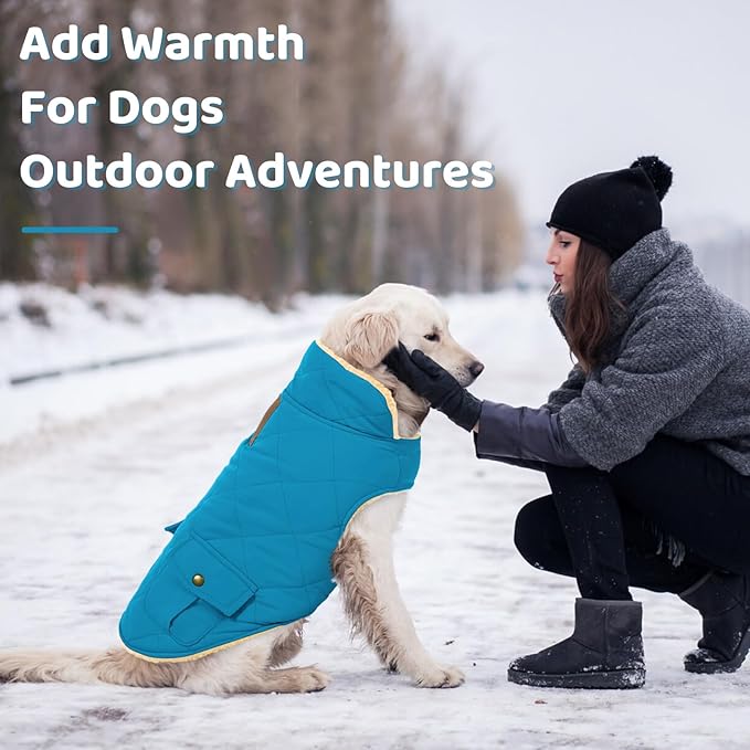 Queenmore Dog Winter Coat Warm Puffer Jacket Waterproof Plush Lining Thermal Cold Weather Vest for Small Medium Large Dogs, Windproof Easy On Pet Jacket Blue XL
