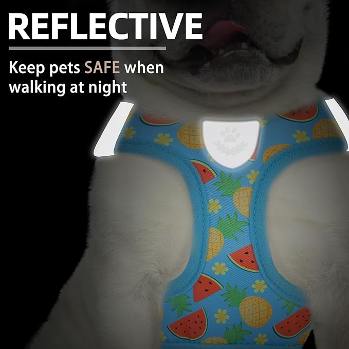 PUPTECK Adjustable Dog Harness Collar and Leash Set Step in No Pull Pet Harness for Small Medium Dogs Puppy and Cats Outdoor Walking Running, Soft Mesh Padded Reflective Vest Harnesses, Sky Blue M