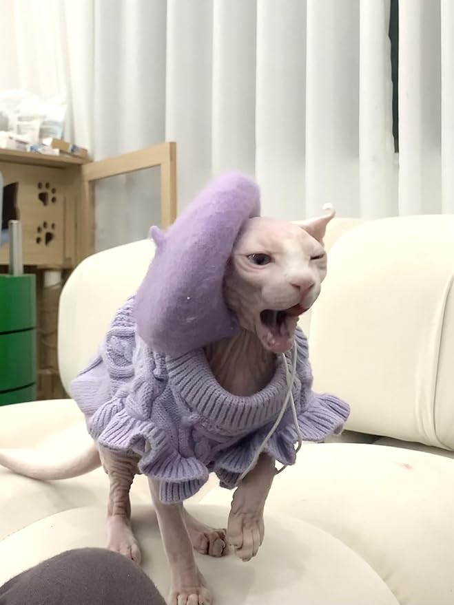 Dog Beret Hats Cats Hats Fashion Four Seasons Funny Wool Winter Pet Hat (Light Purple)