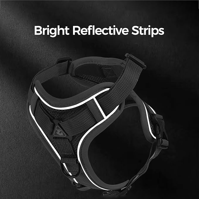 Cat Harness and Leash Set Escape Proof Tactical Large Kitten Harness Emotional Support Cat Vest, Grey, L