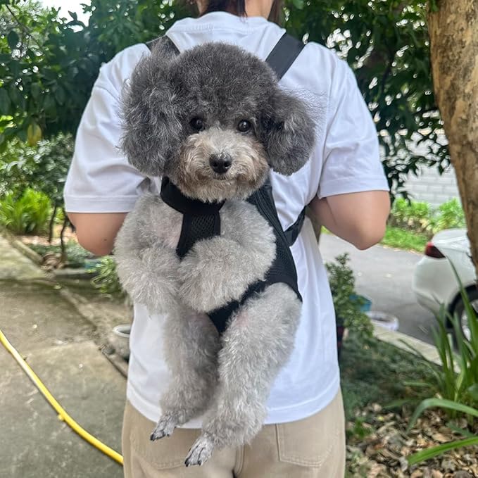 Pet Dog Carrier Backpack, Portable Breathable Mesh Chest Carrier, Polyester Woven Double Shoulder Pet Bag for Outdoor Adventures (Black, X-Large)