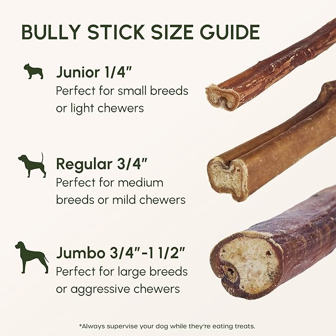 Downtown Pet Supply Bully Sticks for Dogs - Natural 6 Inch Beef Chews, Odor-Free & Rawhide-Free, Long Lasting Dog Treats for Aggressive Chewers - Healthy, Safe & Delicious Chews Dogs Love (18 Pack)