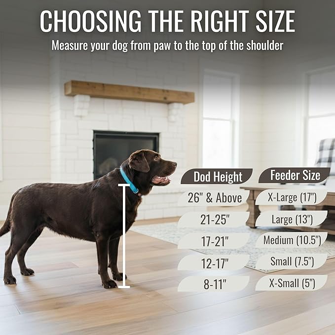 GrooveThis Woodshop - Personalized Elevated Dog Bowl Stand for Large, Medium, Small, X-Small Dogs - Stainless Steel Food and Water Bowls - Raised Dog Dish (X-Large, Black)