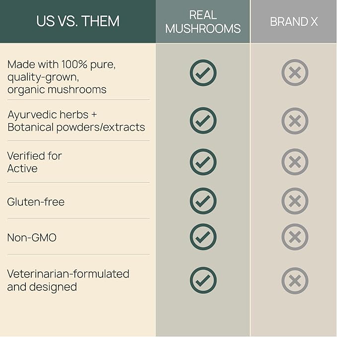 Real Mushroom Immune Pet Chews – For Daily Digestive & Immune Health – Mushrooms for Dogs & Cats Functional Treat – Mushroom Supplement for Dogs & Cats – 1 to 4 Chews For All Breeds & Sizes (60 Count)