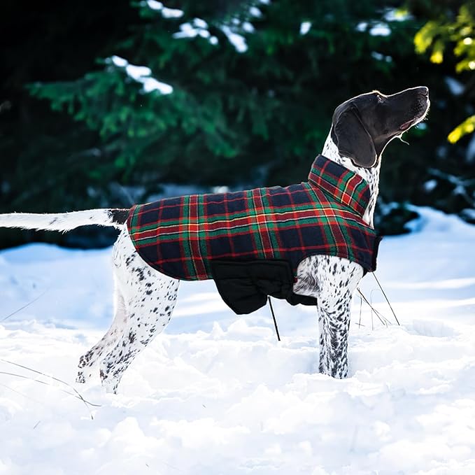 Kuoser Waterproof Dog Coat, Reversible Dog Jacket for Large Dogs, Adjustable Durable Doggie Winter Coat for Groowing Puppies Warm Puppy Cold Weather Apparel, RoyalBlue L